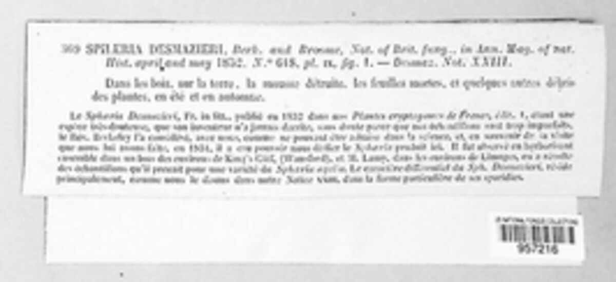 Rosellinia desmazieri image